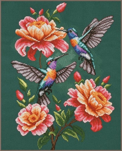 El vals del colibrí