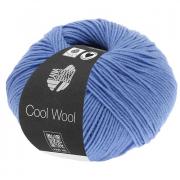 Cool Wool - Florecimiento de maíz 0463
