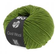 Cool Wool - Verde lima 0471