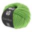 Cool Wool - Verde claro 0509