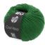 Cool Wool - Verde 2017