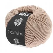 Cool Wool - Palo de rosa claro 2010