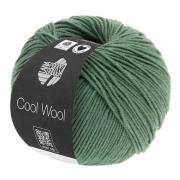 Cool Wool - Verde grisáceo oscuro 2021