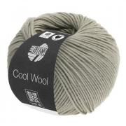 Cool Wool - Grisáceo 2027