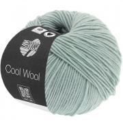 Cool Wool - Gris hielo 2028
