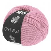 Cool Wool - Rosa empolvado 2045