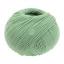 Cool Wool - Verde reseda 2078
