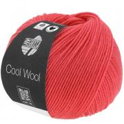 Cool Wool - Langosta 2112