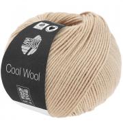 Cool Wool - Gris perla 2114