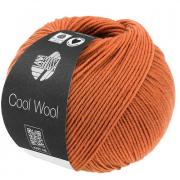 Cool Wool - Marrón anaranjado 2116