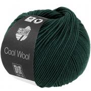 Cool Wool - Verde petróleo oscuro 2120