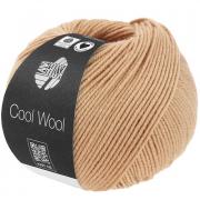 Cool Wool - Cáscara de huevo 2121
