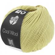 Cool Wool - Verde pastel 2122
